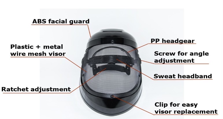 Face shield protector